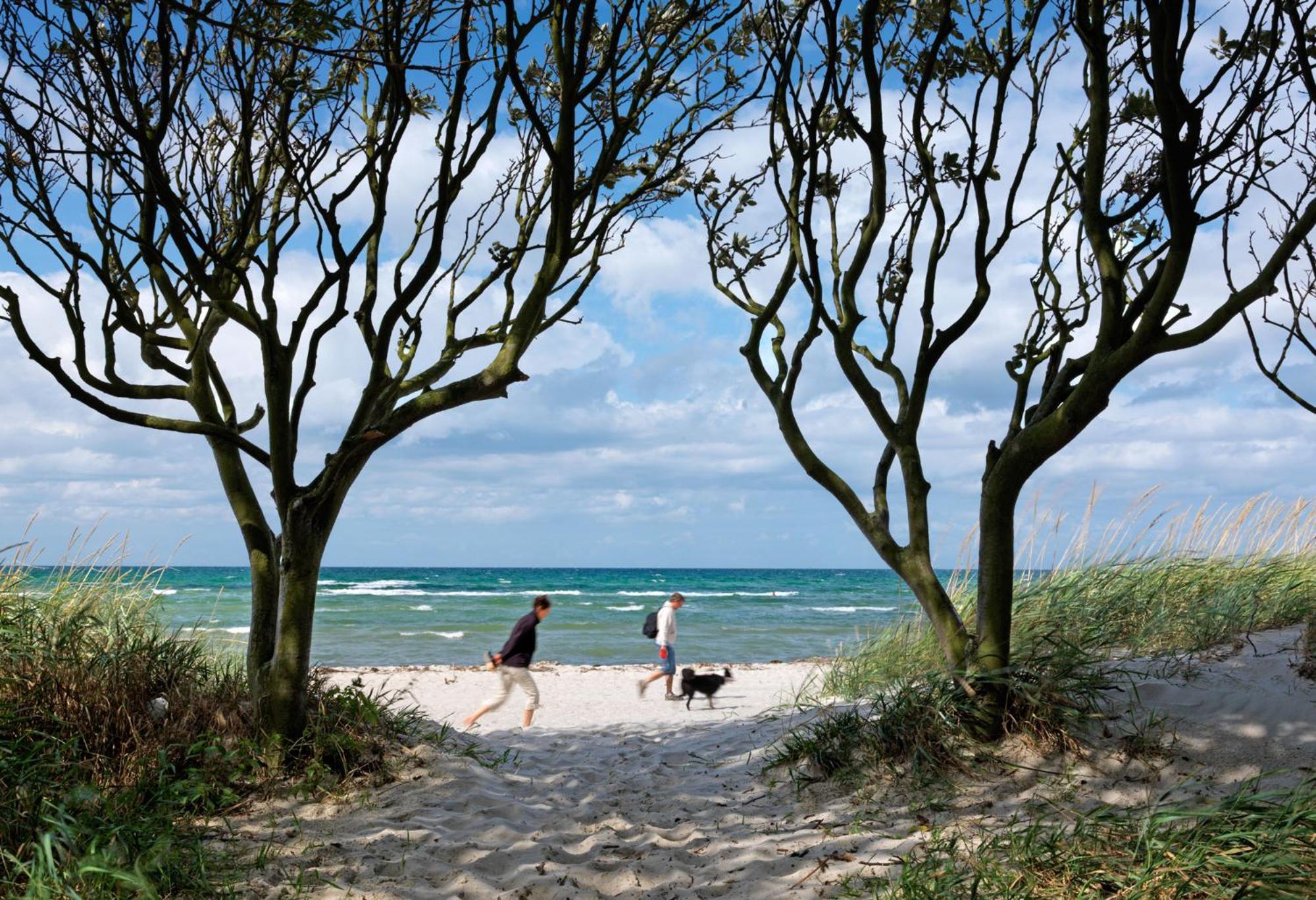 Ferienanlage Poschmann Strohboden อินเซิลเพิล ภายนอก รูปภาพ